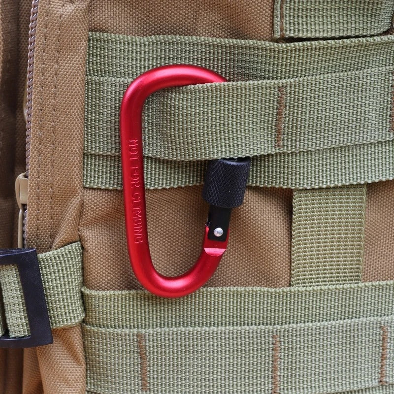 10PCS EDC Carabiner Set