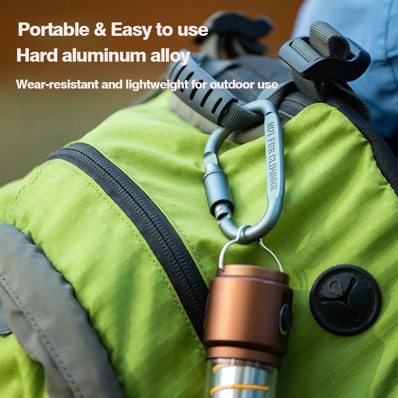 10PCS EDC Carabiner Set